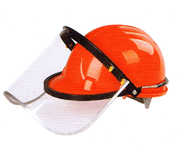 Face Shield Visor